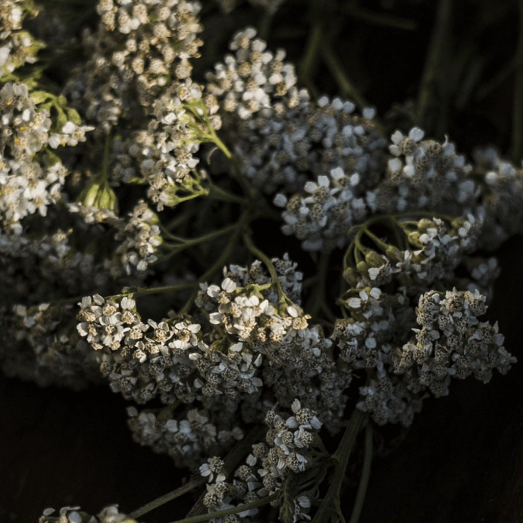 min-aromaterapie