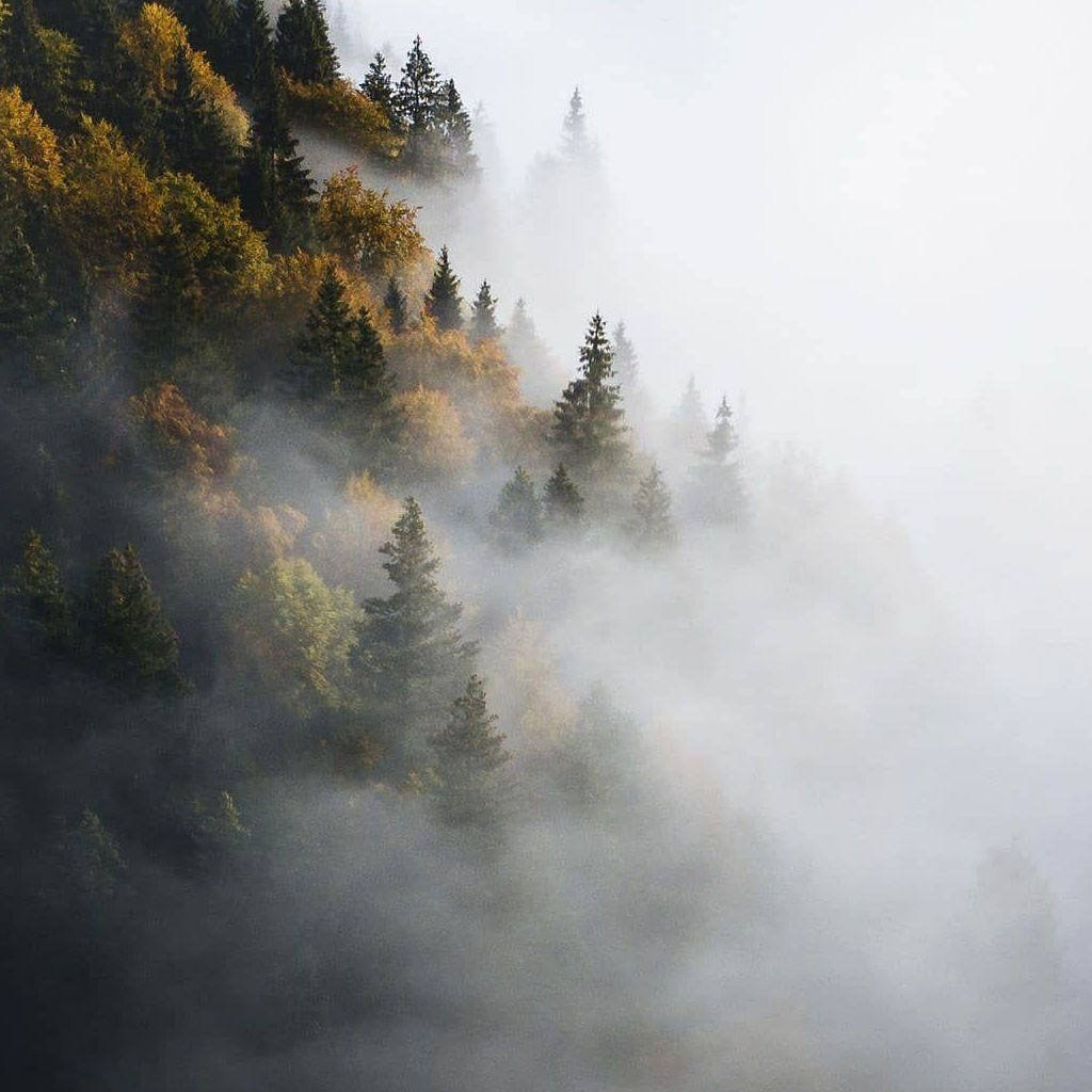 _mlha